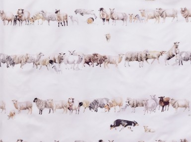 Vorschaubild christian fischbacher spannbettlaken satin counting sheep